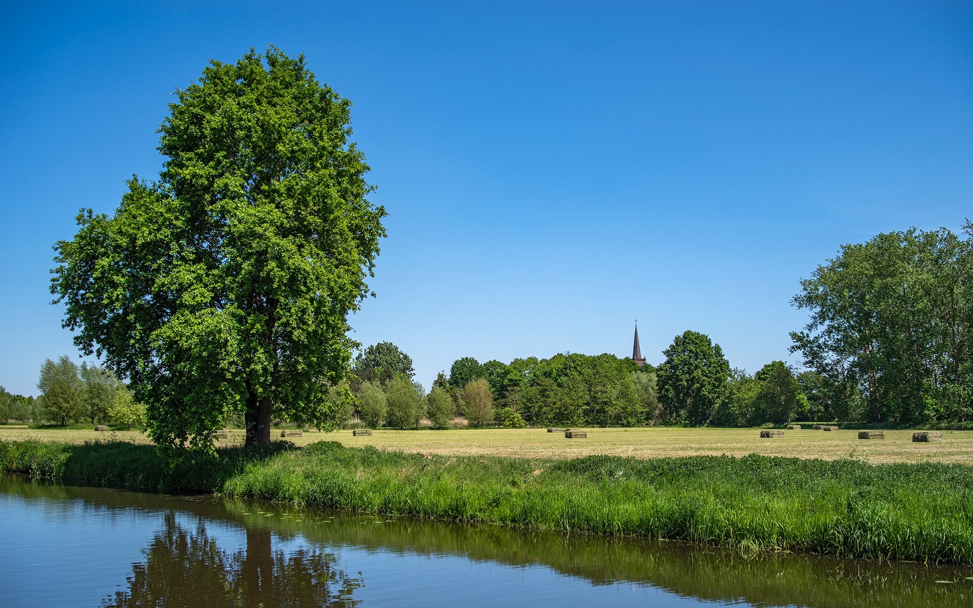 stikstof emissie berekeningen